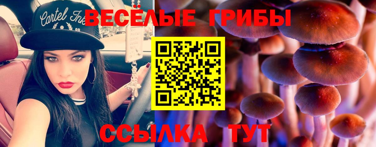 Галлюциногенные грибы мицелий Волжск